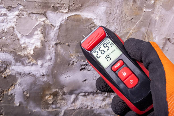Best Mold Removal Near Me  in Los Altos Hills, CA