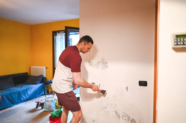 Best Same-Day Mold Removal  in Los Altos Hills, CA